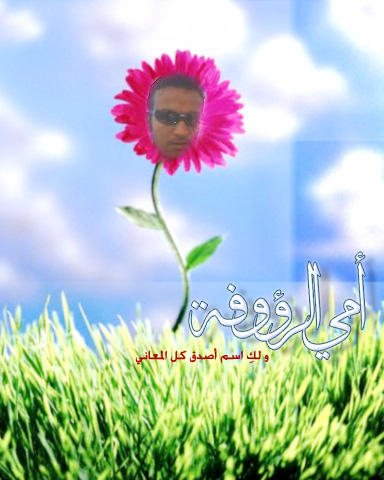 ���� �������